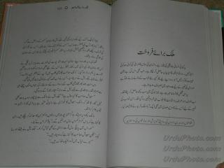 Mulk Bara E Farokht By Aleem Ul Haq Haqqi.pdf
