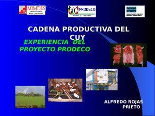 CADENA PRODUCTIVA DE CUYES ALFREDO.ppt