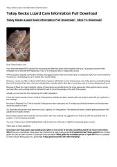 Tokay Gecko Lizard Care Information Full Download-html.pdf