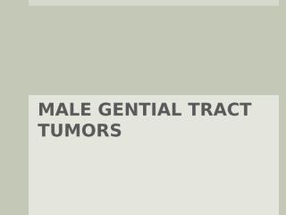 Male Genital System-Tumors.ppt